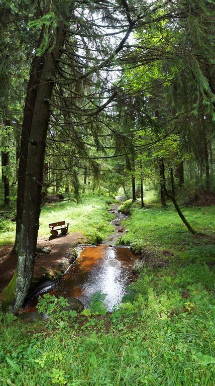 Hotel Beck Lauscha Kültér fotó