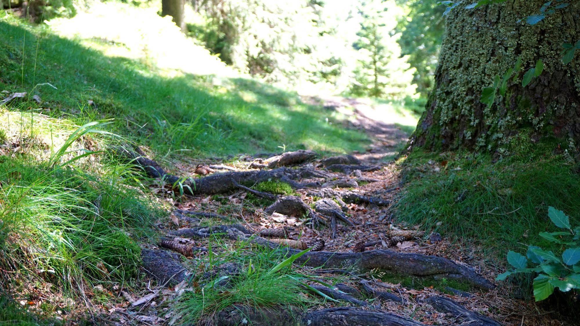 Hotel Beck Lauscha Kültér fotó
